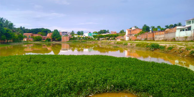lagoa
